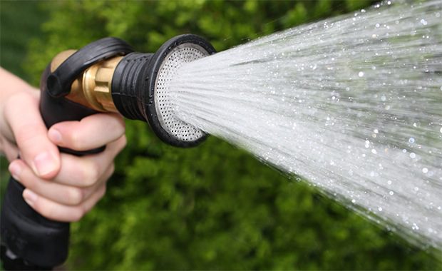 nematodes are used diluted in water