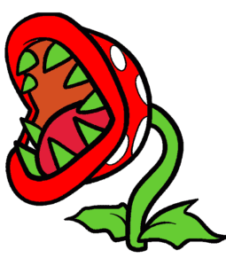 representative image carnivore