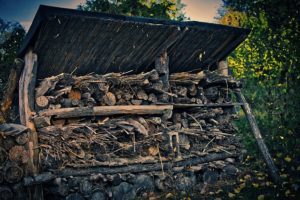 shelter to attract carabid beetles to the garden