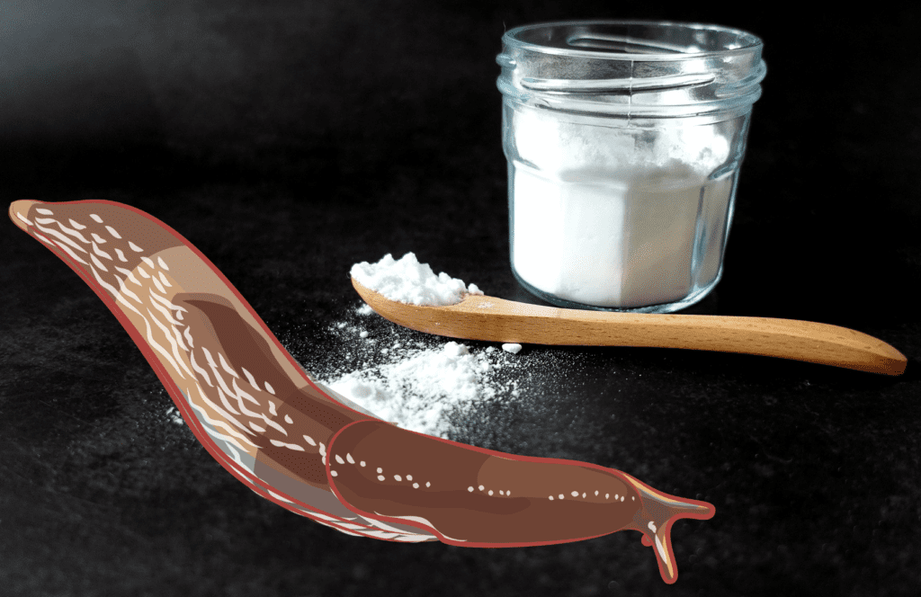 Slug pellets with baking soda