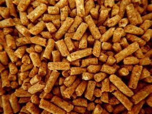 Pellet di anatra corridore indiana 